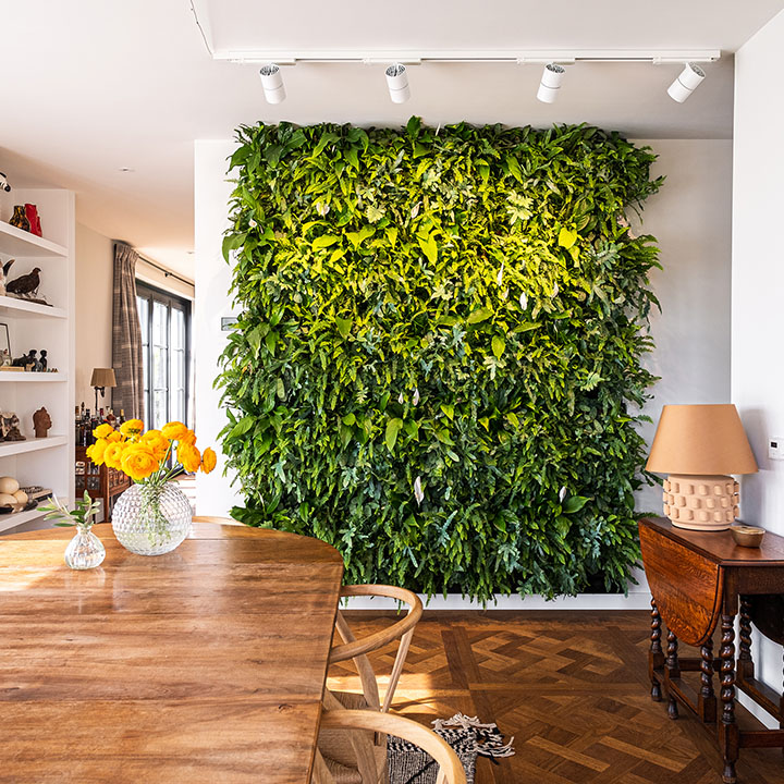 green wall livepanel