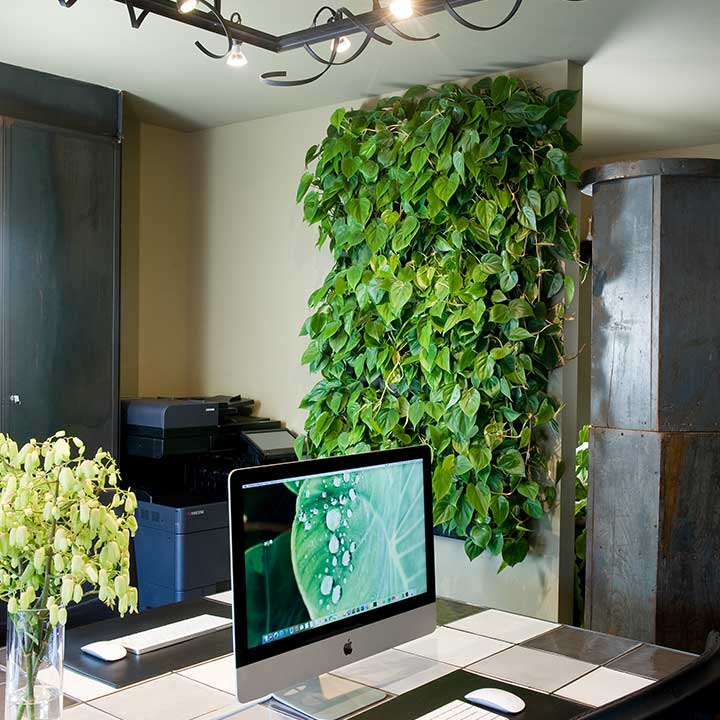 Livepanel planten aan de muur