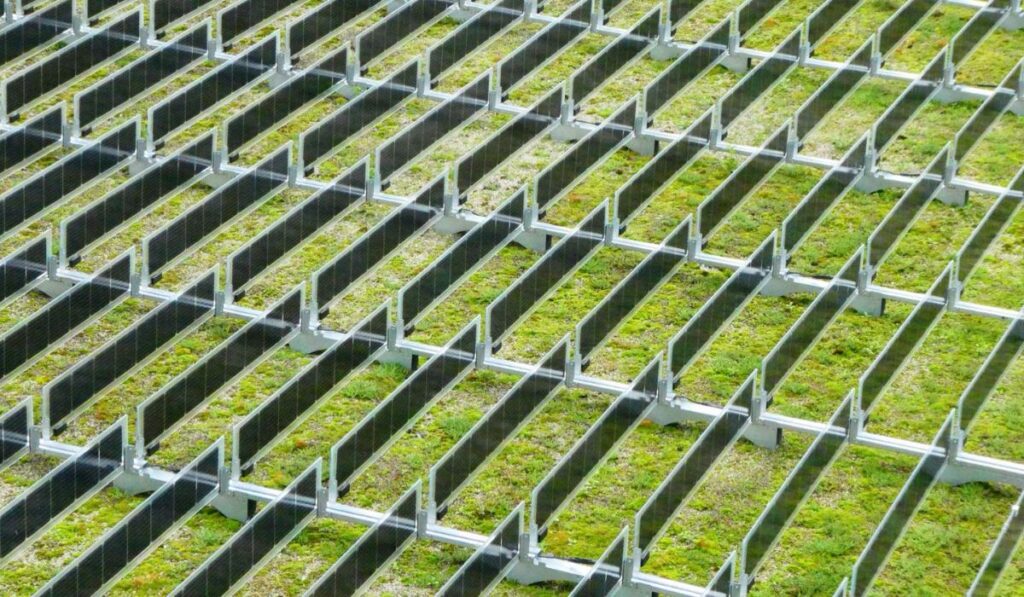 Verticale zonnepanelen van Over Easy Solar